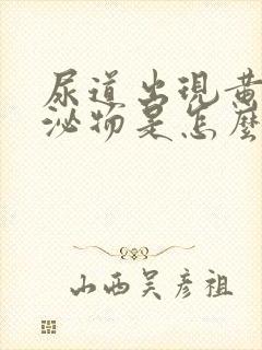 尿道出现黄色分泌物是怎么回事