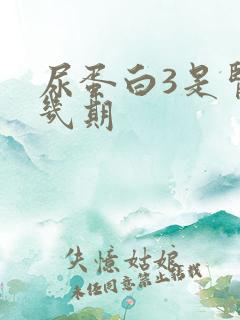 尿蛋白3是肾病几期