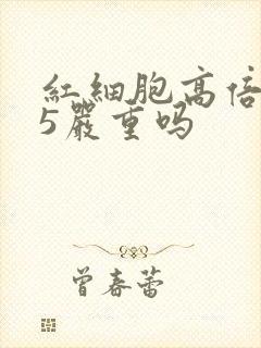 红细胞高倍视野5严重吗