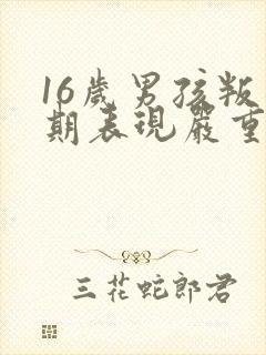 16岁男孩叛逆期表现严重怎么办