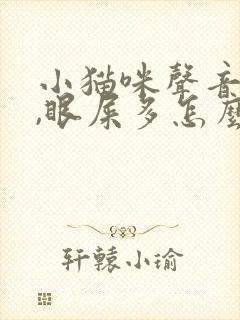 小猫咪声音嘶哑,眼屎多怎么回事