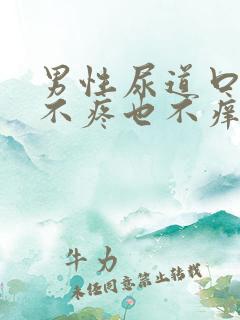 男性尿道口发红不疼也不痒是怎么回事