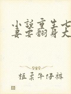 小说重生七零肥妻要翻身大结局