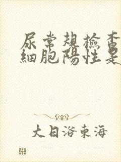 尿常规检查尿白细胞阳性是什么意思