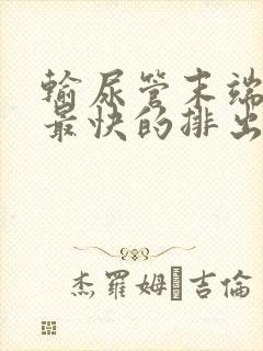 输尿管末端结石最快的排出方法