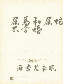 属马和属蛇的合不合婚