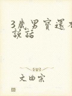 3岁男宝还不会说话