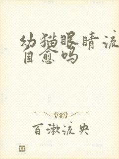 幼猫眼睛流脓会自愈吗