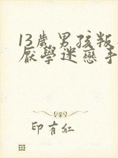 13岁男孩叛逆厌学迷恋手机怎么办