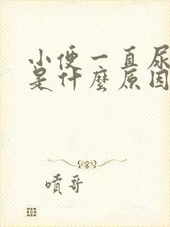 小便一直尿不尽是什么原因