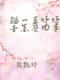 猫一直呼呼的声音怎么回事