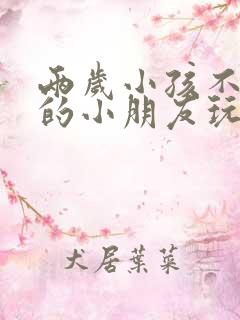 两岁小孩不和别的小朋友玩怎么办