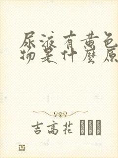 尿液有黄色沉淀物是什么原因