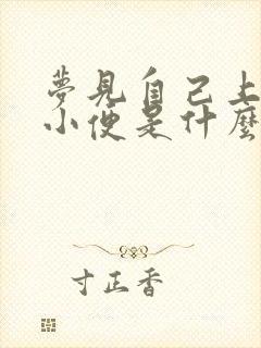 梦见自己上公厕小便是什么征兆