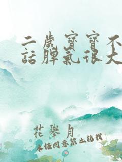 二岁宝宝不会说话脾气很大