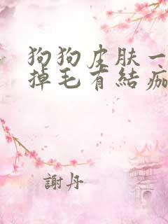 狗狗皮肤一块块掉毛有结痂