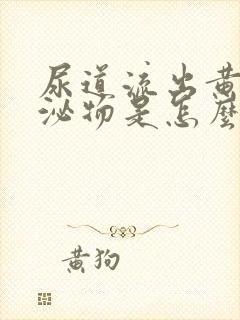 尿道流出黄色分泌物是怎么回事