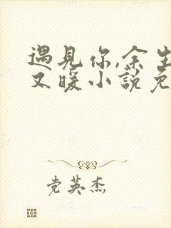 遇见你,余生甜又暖小说免费