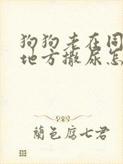 狗狗老在同一个地方撒尿怎么办