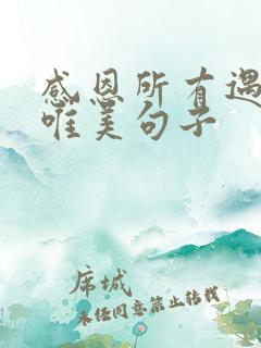 感恩所有遇见的唯美句子