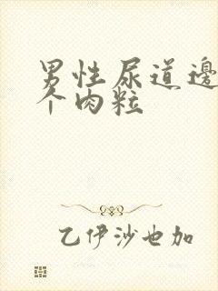 男性尿道边上长个肉粒