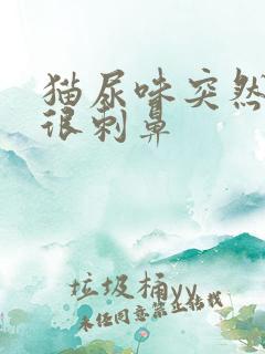 猫尿味突然变得很刺鼻