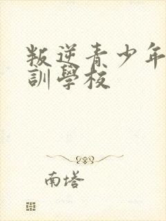 叛逆青少年的特训学校