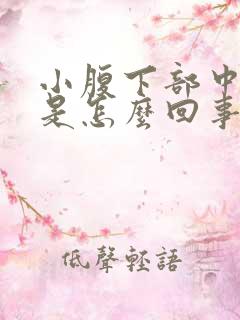 小腹下部中间疼是怎么回事