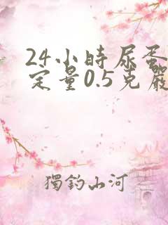 24小时尿蛋白定量0.5克严重吗