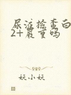 尿液检查白细胞2+严重吗