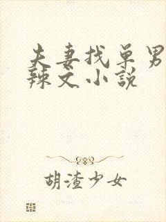 夫妻找单男3p辣文小说