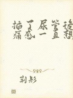 插了尿管后有刺痛感一直想尿怎么办呢