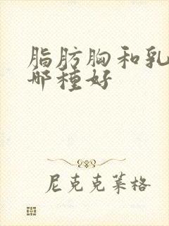 脂肪胸和乳腺胸哪种好