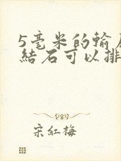 5毫米的输尿管结石可以排除吗