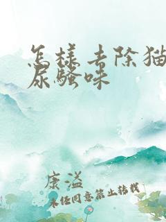 怎样去除猫咪的尿骚味