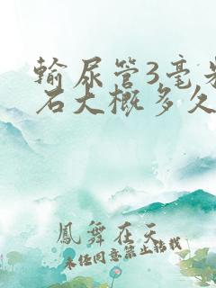 输尿管3毫米结石大概多久能排出