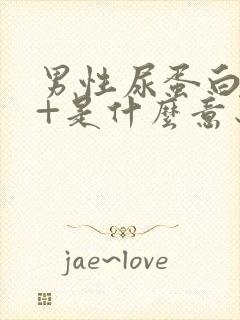 男性尿蛋白质2+是什么意思