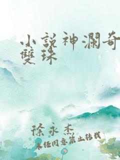 小说神澜奇域无双珠