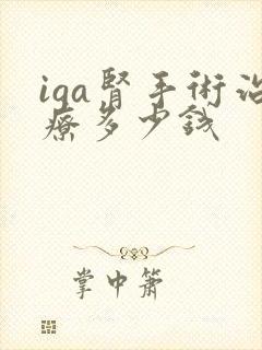 iga肾手术治疗多少钱