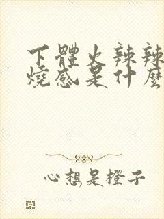 下体火辣辣的灼烧感是什么情况