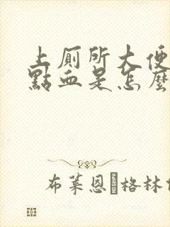 上厕所大便有一点血是怎么回事