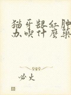 猫牙龈红肿怎么办吃什么药