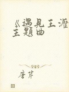 《遇见王沥川》主题曲