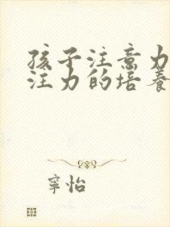 孩子注意力和专注力的培养