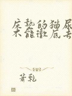 床垫的猫尿味能不能彻底去除