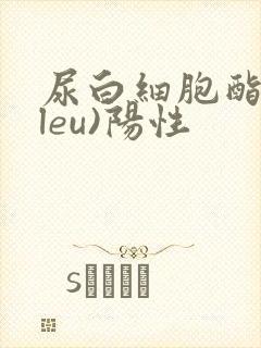 尿白细胞酯酶(leu)阳性