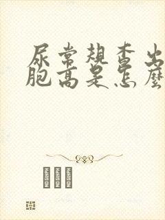 尿常规查出白细胞高是怎么回事