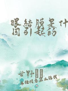 眼结膜是什么原因引起的