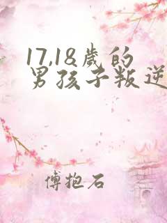 17,18岁的男孩子叛逆怎么办