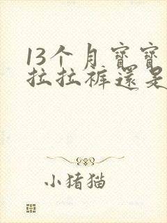 13个月宝宝穿拉拉裤还是纸尿裤